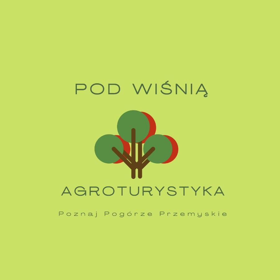 Pod Wisnia Agroturystyka Kalwaria Paclawska Exterior foto