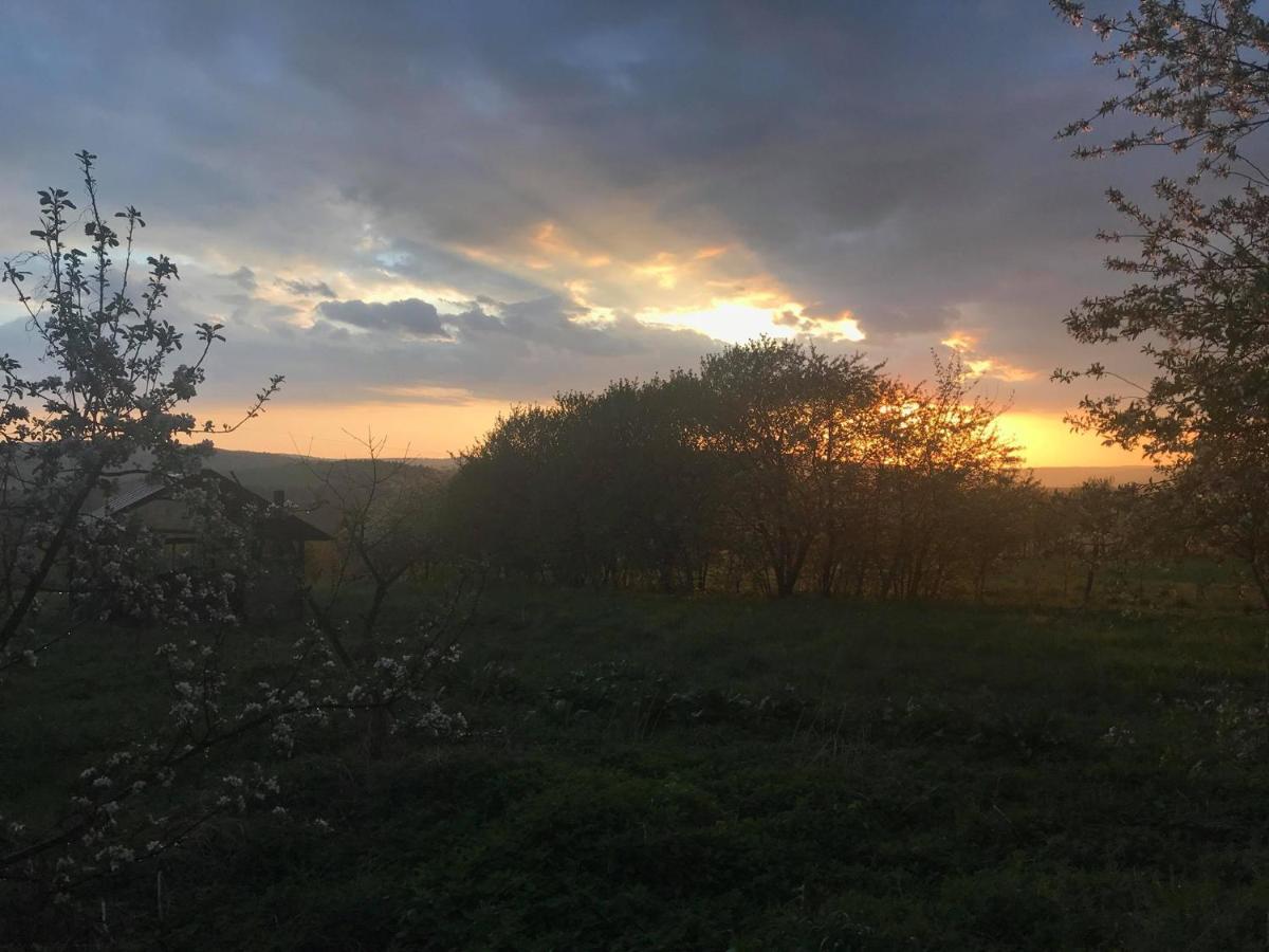 Pod Wisnia Agroturystyka Kalwaria Paclawska Exterior foto
